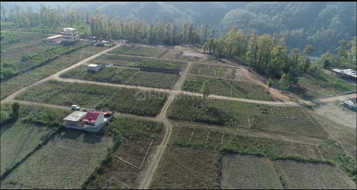 Dhaulas Main Image 1