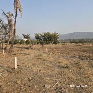 Pachane Plot View 3