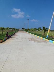 Image of 1650 Sq.ft Residential Plot / Land for sale in Shankarpally, Hyderabad for Rs. 2095350