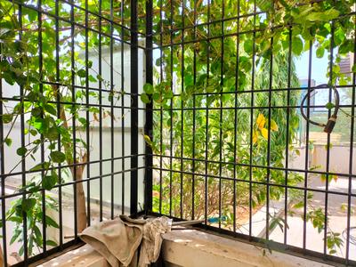 Balcony Image of 1350 Sq.ft 4 BHK Independent House for sale in Nilamber Oriens, Sunpharma Road Vadodara for Rs. 15000000