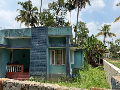 Thrippunithura Plot View 1