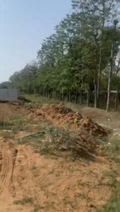 Sector 8 Plot View 3