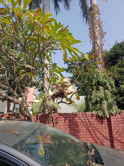 RWA Sector 14 Main Image 1