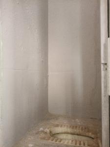 Common Bathroom Image of 750 Sq.ft 2 BHK Apartment / Flat for rent in Horamavu Bengaluru for Rs. 15000
