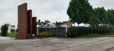 KANAK GREEN PART 1 Plot View 1