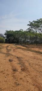 Image of 9000 Sq.ft Residential Plot / Land for sale in Kamsanpalle, Narayanpet for Rs. 7500000