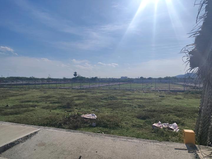 Jacaranda XS Real Castilo Main Image 1