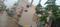 Tirupati  sai nager Double Sharing Room 2
