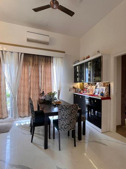 ACE Divino Main Image 1