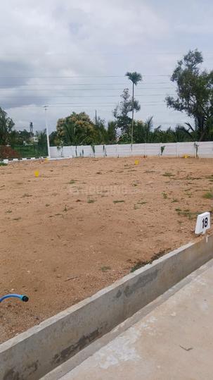 Kns kalpavriksha layout Main Image 1