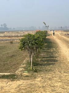 Image of 1000 Sq.ft Residential Plot / Land for sale in Maniram, Gorakhpur for Rs. 651000