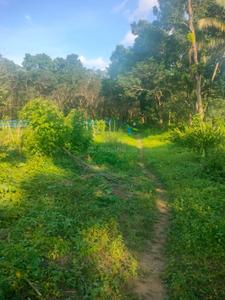 Image of 435600 Sq.ft Residential Plot / Land for sale in Kattilappoovam, Killannur, Thrissur for Rs. 60000000