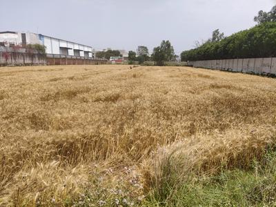 Image of 3500 Sq.ft Residential Plot / Land for sale in Mugalpur Urf Aghwanpur Mustahk, Moradabad for Rs. 100000000