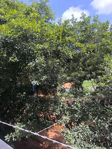 Bedroom Five Image of 3150 Sq.ft 5 BHK Apartment / Flat for sale in Vajarahalli Bengaluru for Rs. 29000000