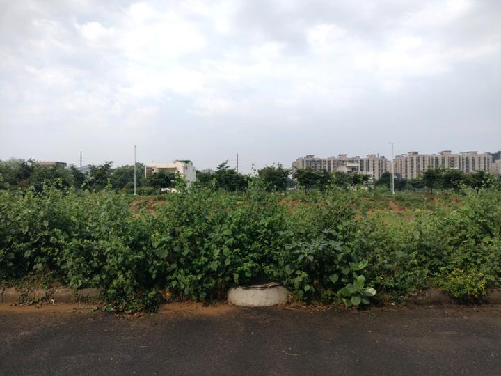 Block J Plot View 1