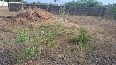 Image of 1200 Sq.ft Residential Plot / Land for sale in Nagamangalam, Tiruchirappalli for Rs. 1500000