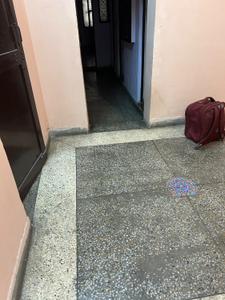 3.5 BHK Independent Builder Floor