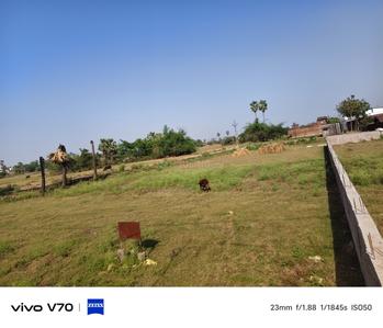 Diamond City Phase 2 Plot View 3