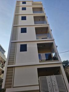 11 BHK Flat