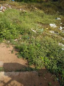Residential Plot