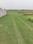 Safedabad Main Image 1