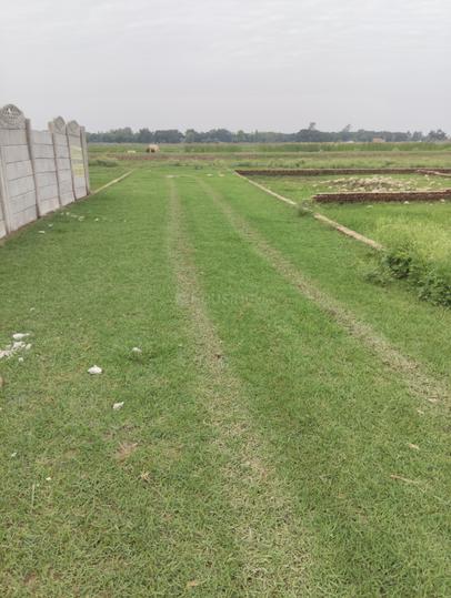 Safedabad Main Image 1