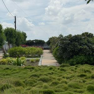 Image of 800 Sq.ft Residential Plot / Land for sale in Ramesht Shri Ayodhya Puram, Panchderiya, Indore for Rs. 2280800