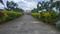 Muruganpalli Plot View 2