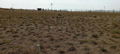 Image of 5400 Sq.ft Residential Plot / Land for sale in Puikhadi, Kolhapur for Rs. 12900000