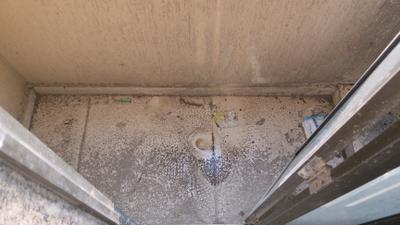 Balcony Image of 575 Sq.ft 1 BHK Apartment / Flat for sale in Sunteck Maxx World, Naigaon East Naigaon for Rs. 3300000