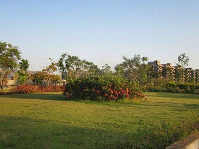 Residential Plot