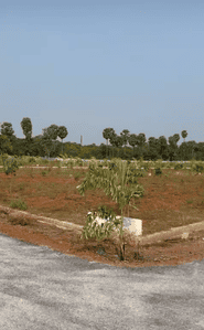 Image of 1800 Sq.ft Residential Plot / Land for sale in Yellamanchili, Visakhapatnam for Rs. 1200000