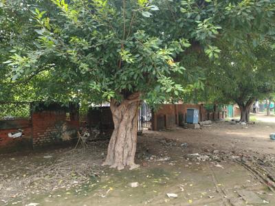 Nirala Aspire Plot View 2