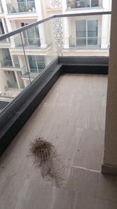 Image of 1050 Sq.ft 2 BHK Builder Floor for rent in Signature Global City 92, Sector 92, Gurgaon for Rs. 24500