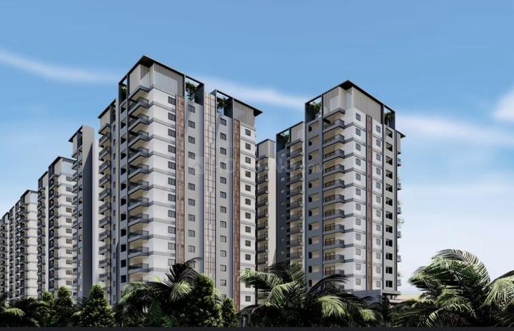 Praneeth Pranav Solitaire Main Image 1