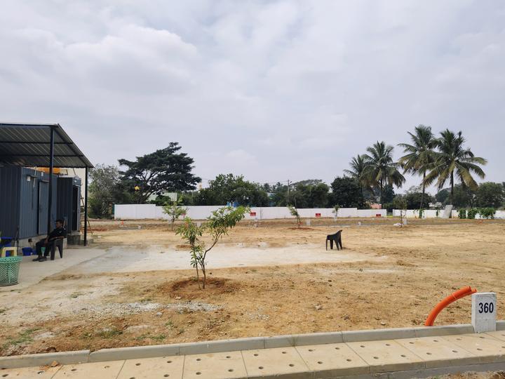 Ruby Sizzle Heritage Main Image 1