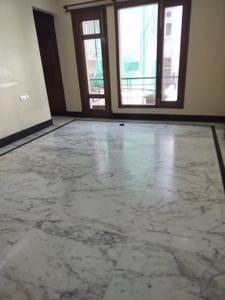 Hall Image of 4150 Sq.ft 4 BHK Builder Floor for rent in Hauz Khas New Delhi for Rs. 245000