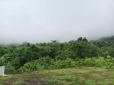 Shirgaon Plot View 2