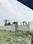 Mednipur Badripur Plot View 2