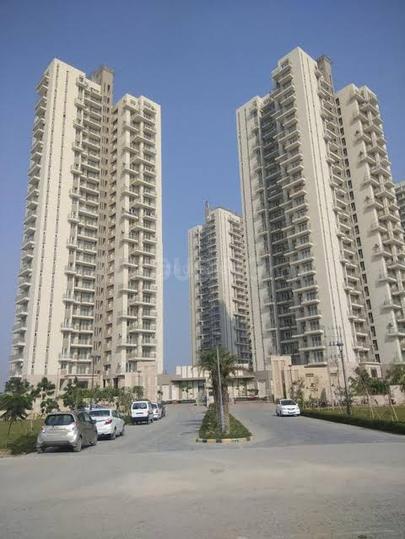 Conscient Heritage Max Main Image 1