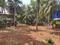 Vellayil Main Image 1