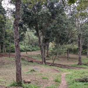 Image of 9147 Sq.ft Residential Plot / Land for sale in Vilpatti, Kodaikanal for Rs. 250000