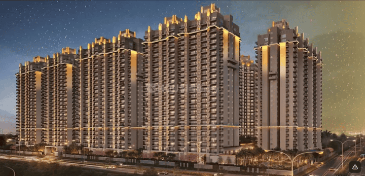 ACE Verde Main Image 1