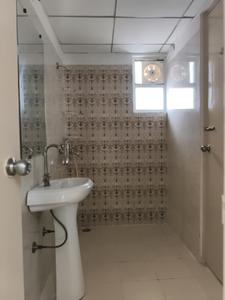 Common Bathroom Image of 1175 Sq.ft 3 BHK Apartment / Flat for sale in Gaurs 14th Avenue, Noida Extension Greater Noida for Rs. 9850000