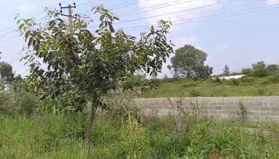 Image of 66529 Sq.ft Residential Plot / Land for sale in Devanahalli, Bengaluru for Rs. 110000000