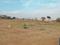 SunCity plotting mamurdi Plot View 2