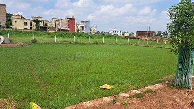 Baibhab nagar  Plot View 2