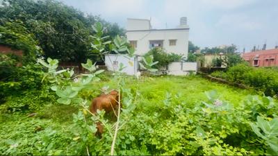 Image of 3750 Sq.ft Residential Plot / Land for sale in Kalinga Nagar, Bhubaneswar for Rs. 30000000