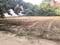 RAJENDRA PARK SECTOR 105 Plot View 2