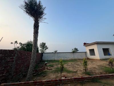 Image of 1200 Sq.ft 2 BHK Farm House for sale in Rohtak Station Diary Mohalla, Rohtak for Rs. 9000000